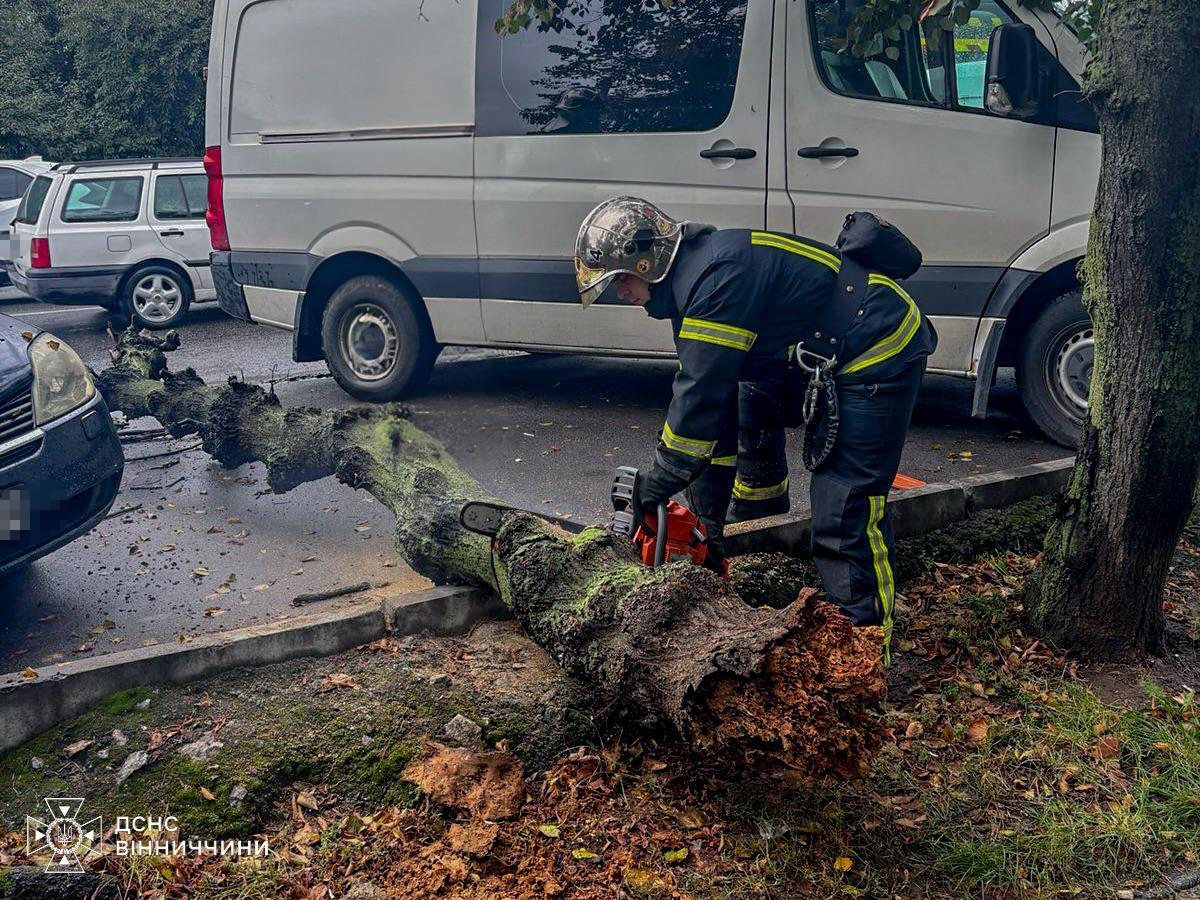 Негода на Вінниччині: рятувальники розчищали повалені дерева