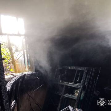 Три пожежі на Вінниччині за одну добу: що горіло
