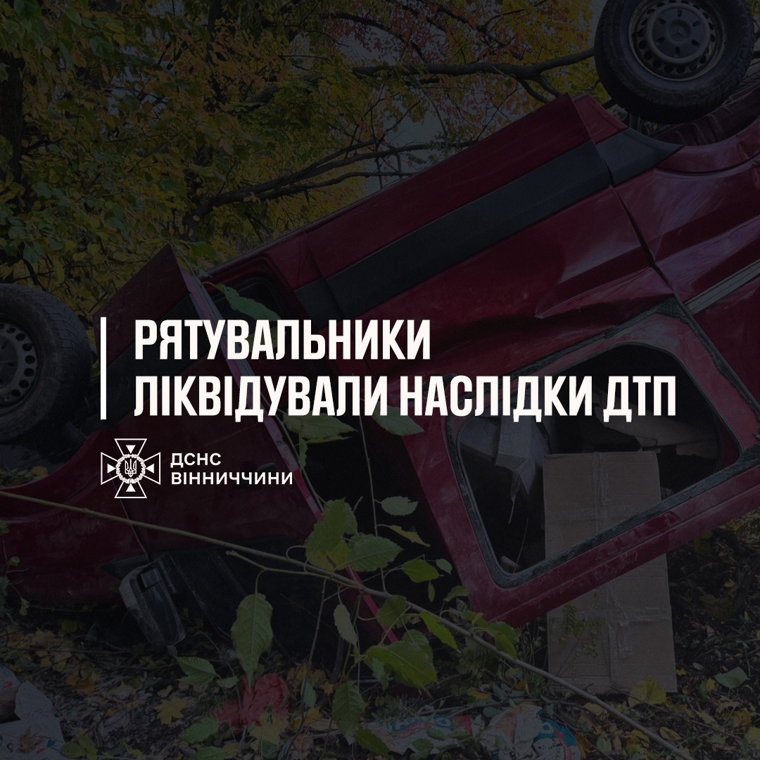 Автівка злетіла в кювет на Гайсинщині: рятувальники ліквідували наслідки аварії