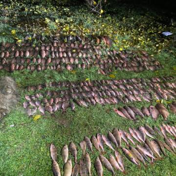 На Вінниччині браконьєр завдав понад 700 тисяч гривень збитків рибному господарству