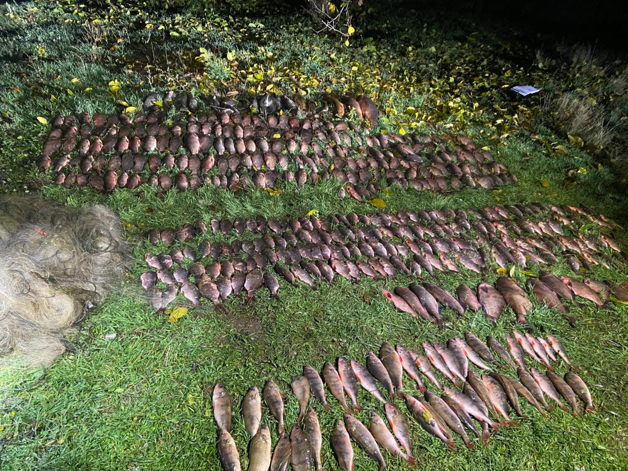 На Вінниччині браконьєр завдав понад 700 тисяч гривень збитків рибному господарству