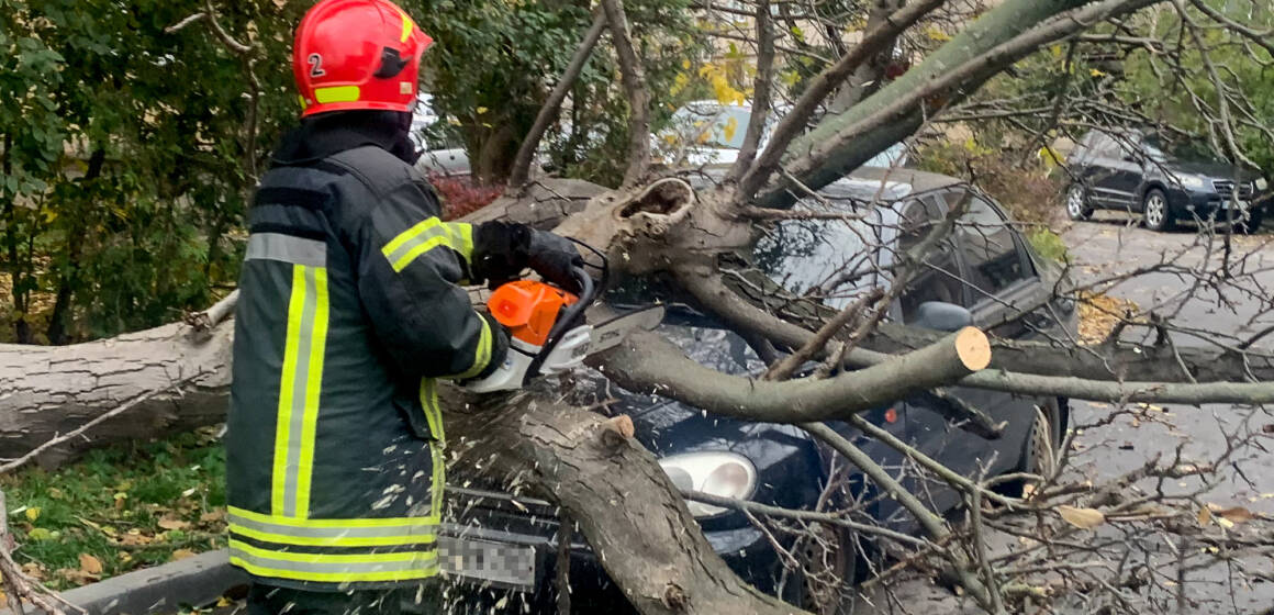 У Вінниці дерево впало на автомобіль: рятувальники ліквідували наслідки