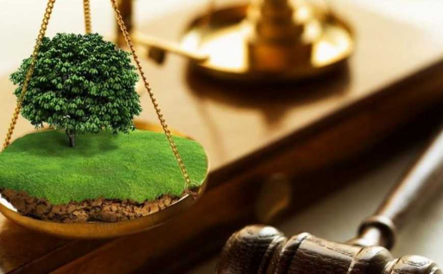 У Вінниці виставили на аукціон земельну ділянку на вул. Айвазовського