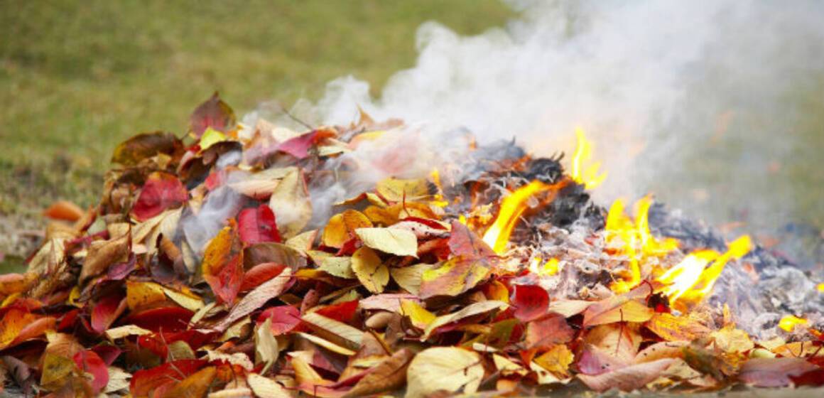 burning_leaves-1170x700 Безпека та здоров’я вінничан: мобільні групи стежать за спалюванням рослинності