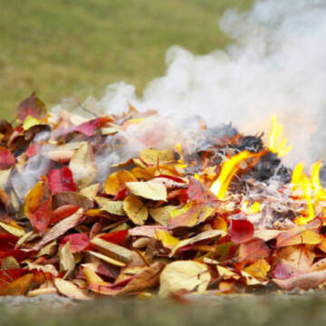 burning_leaves-1170x700 Безпека та здоров’я вінничан: мобільні групи стежать за спалюванням рослинності