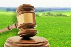 У Вінниці виставлено на аукціон 8 га землі за ціною 3% від нормативної грошової оцінки