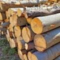 У Вінниці засудили шахрая, який продавав дрова з в’язниці