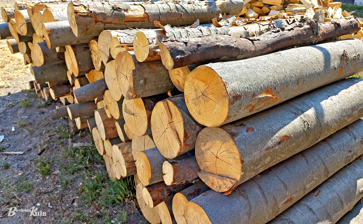 У Вінниці засудили шахрая, який продавав дрова з в’язниці