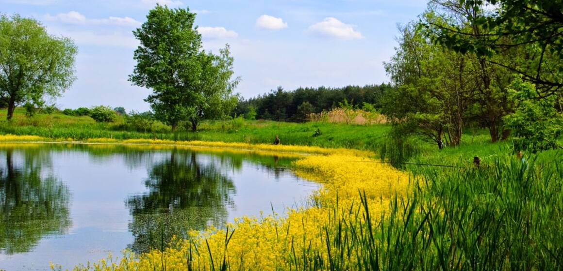 У Вінниці розширюють природно-заповідний фонд громади