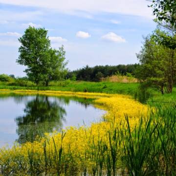У Вінниці розширюють природно-заповідний фонд громади