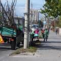 У Вінниці розпочалася осіння висадка дерев та кущів