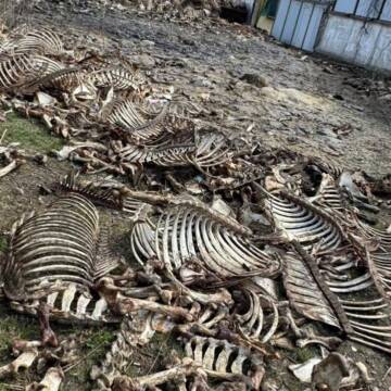На Вінниччині підприємця підозрюють у забрудненні ґрунтів