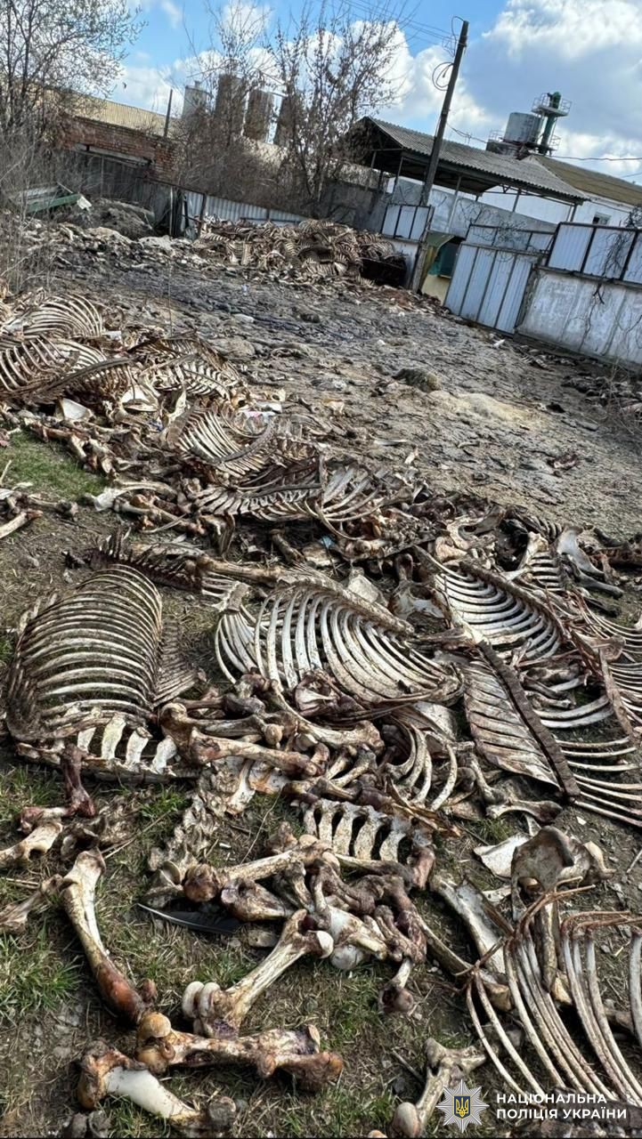 На Вінниччині підприємця підозрюють у забрудненні ґрунтів
