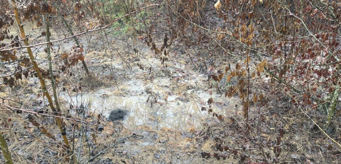 На Вінниччині виявили забруднення земель відходами біля сироварного заводу