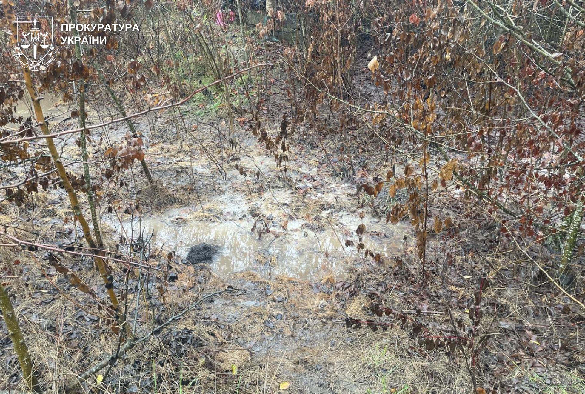 На Вінниччині виявили забруднення земель відходами біля сироварного заводу