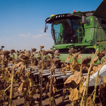 Місто Через затяжні дощі експерти прогнозують втрати врожаю на Вінниччині