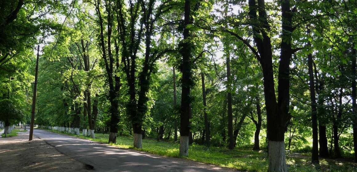 У Вінниці розвивають природно-заповідні території в межах Зеленого курсу