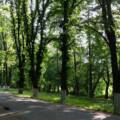 У Вінниці розвивають природно-заповідні території в межах Зеленого курсу