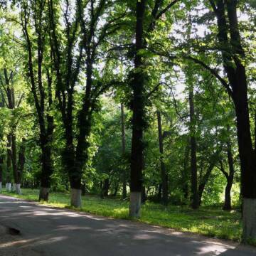 Парк Ющенка У Вінниці розвивають природно-заповідні території в межах Зеленого курсу