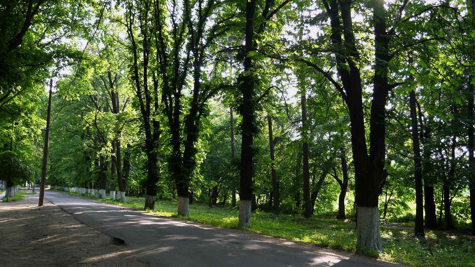 У Вінниці розвивають природно-заповідні території в межах Зеленого курсу