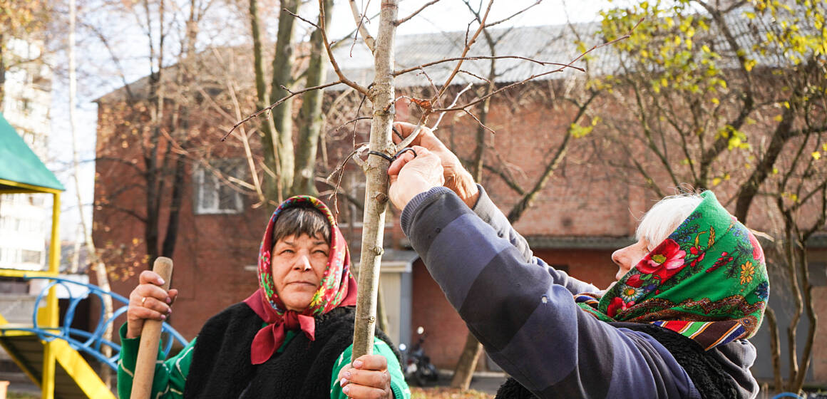 У Вінниці стартує осіння кампанія з озеленення: висадять 500 дерев