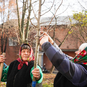 У Вінниці стартує осіння кампанія з озеленення: висадять 500 дерев