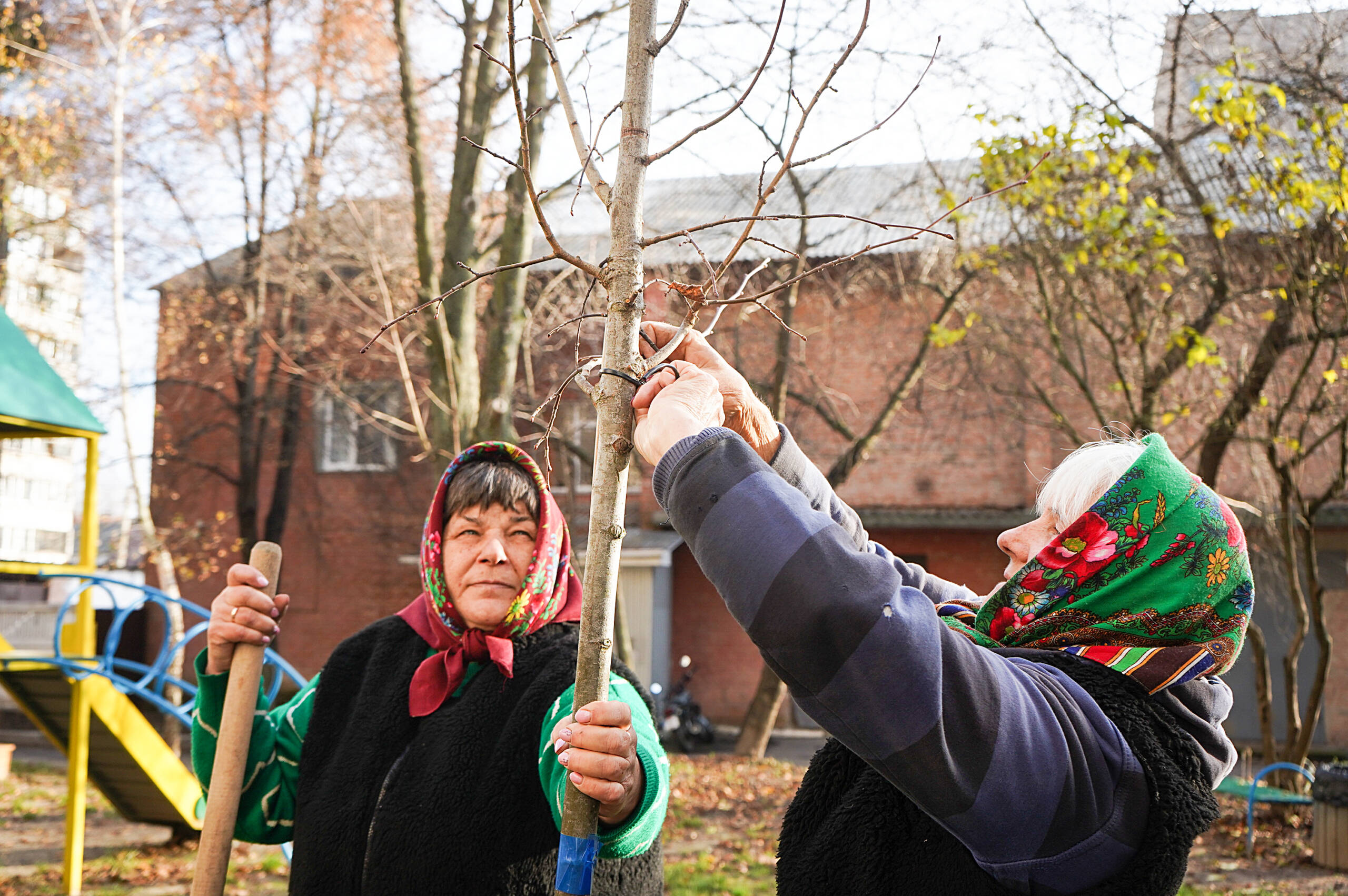 У Вінниці стартує осіння кампанія з озеленення: висадять 500 дерев
