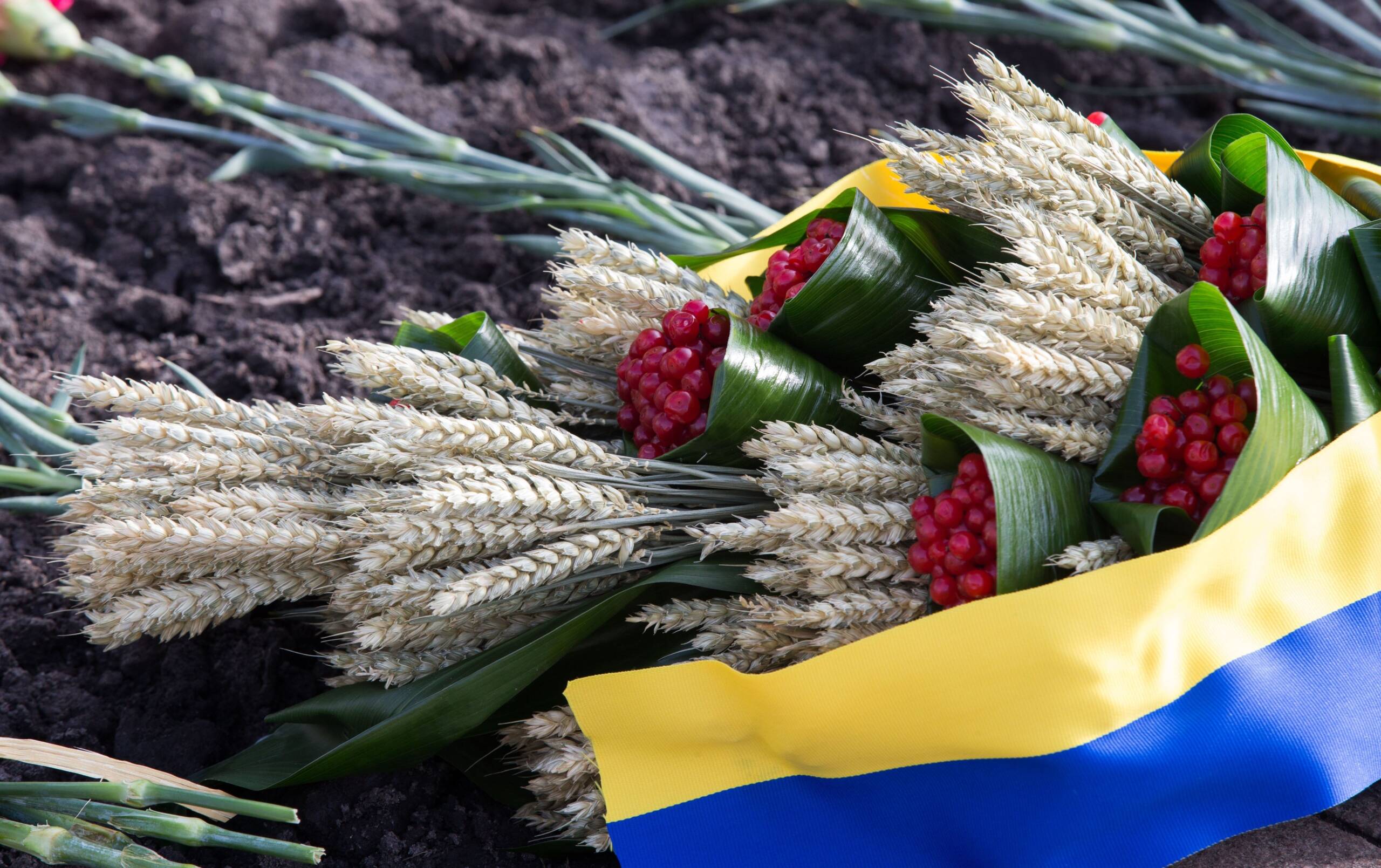 У Вінницькій громаді проведуть заходи до Дня пам’яті жертв Голодомору