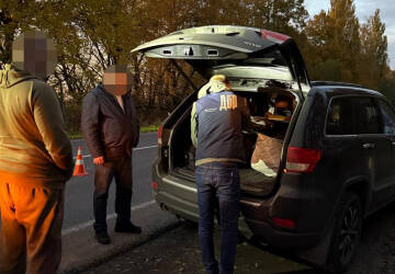 На Вінниччині викрили схему незаконної вирубки дубів