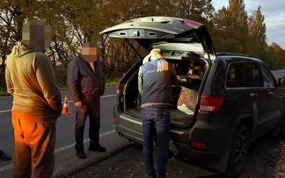 На Вінниччині викрили схему незаконної вирубки дубів