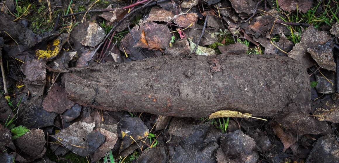 577519281_1307718191367734_3328822734357157874_n На Вінниччині сапери знищили боєприпас часів Другої світової війни