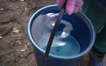 Питна вода з громадських криниць у Вінницькій області може бути небезпечною – результати дослідження