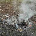 Громадян на Вінниччині оштрафували за спалювання сміття на присадибних ділянках