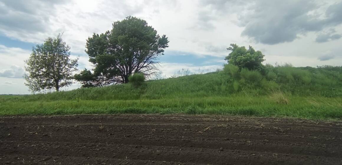 У Стрижавську громаду повернули історичні кургани площею понад 2,1 гектара