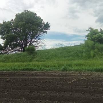 У Стрижавську громаду повернули історичні кургани площею понад 2,1 гектара