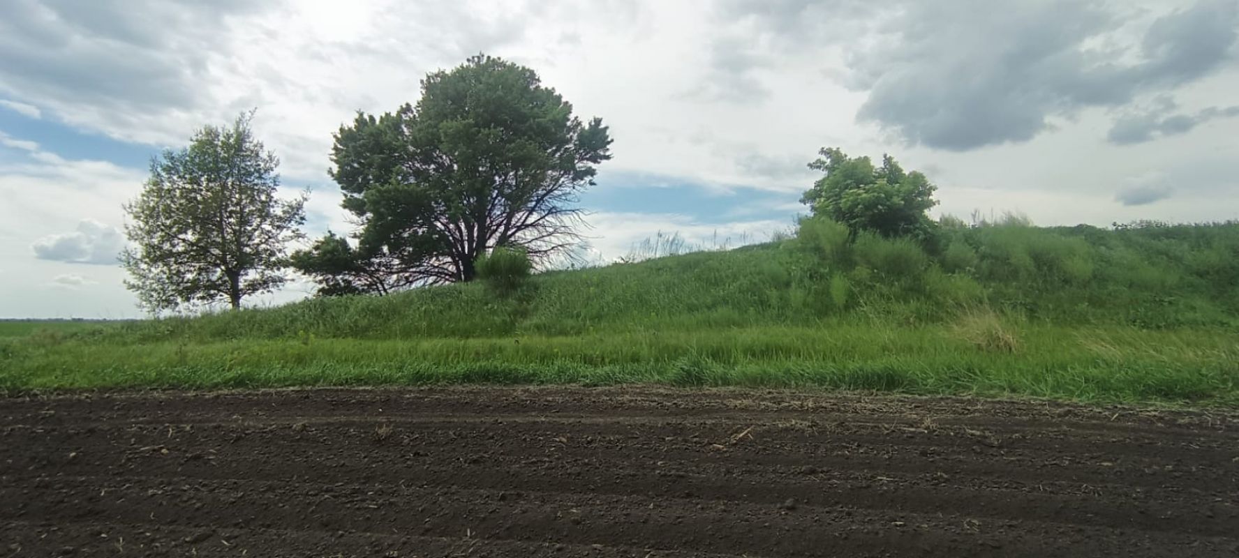 У Стрижавську громаду повернули історичні кургани площею понад 2,1 гектара