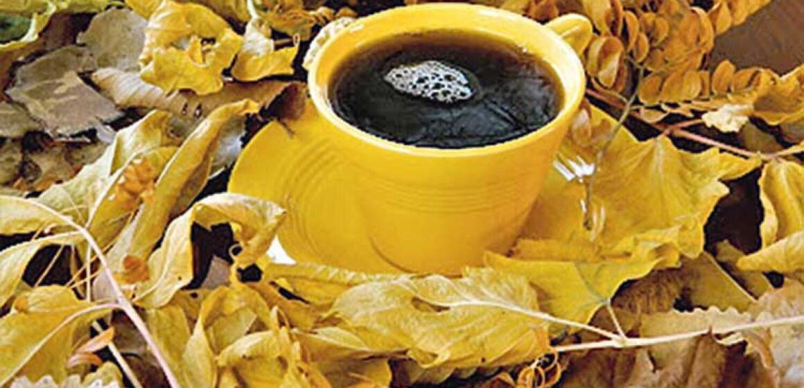 ur5qjv-ukvvg6ykcdz5huu7pvbicbk7bttavfam 29 листопада за гороскопом: час займатися тим, що надихає та радує