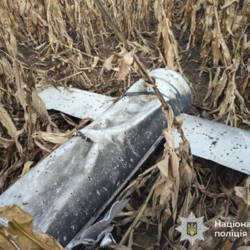 Вибухотехніки Вінниччини знешкодили уламки ворожих дронів і ракет