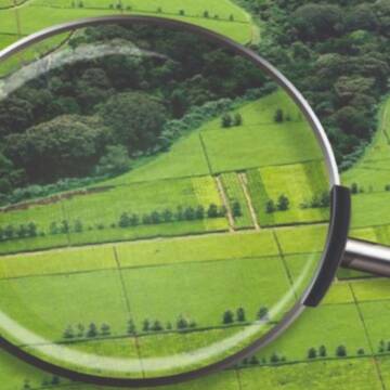 У Вінниці відбудеться аукціон з продажу земельної ділянки на вулиці Айвазовського