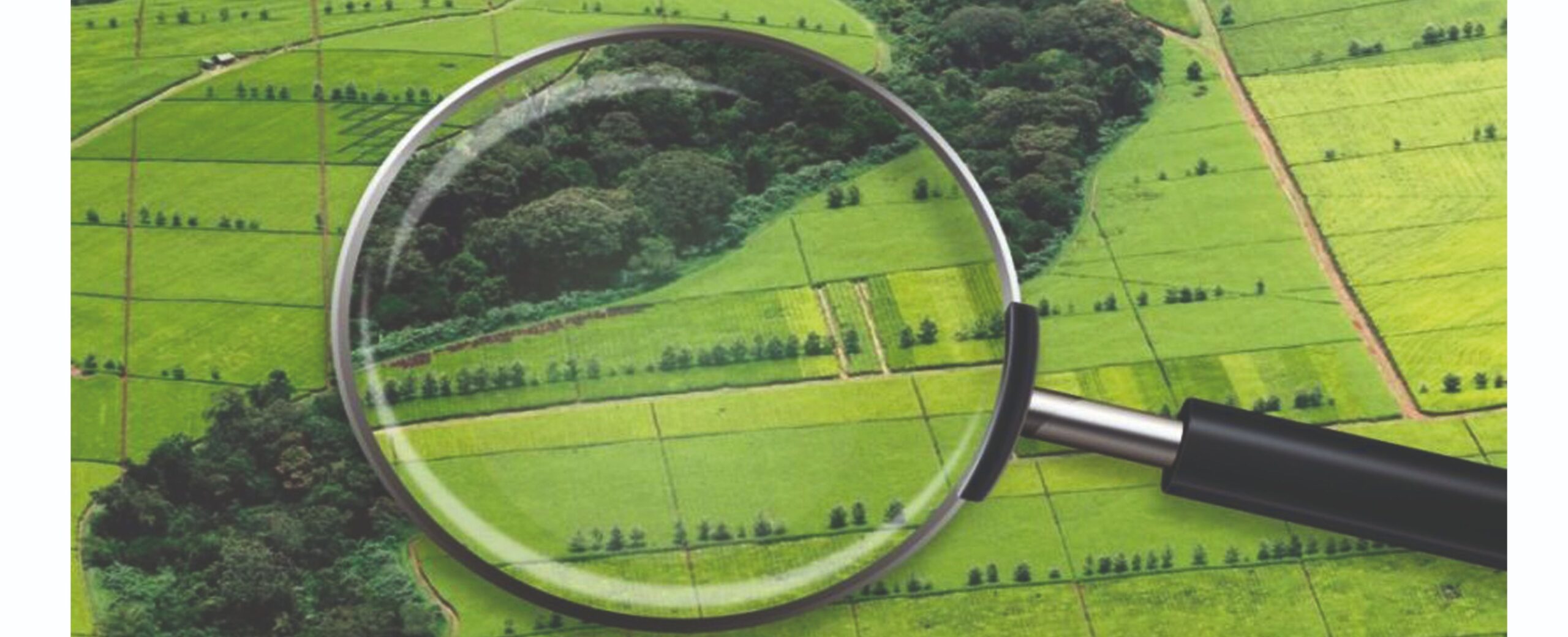 У Вінниці відбудеться аукціон з продажу земельної ділянки на вулиці Айвазовського