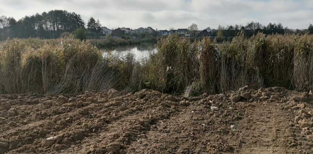 У Вінниці виявили засипання та забруднення прибережних смуг