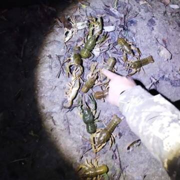 На Вінниччині затримали браконьєра за незаконний вилов раків