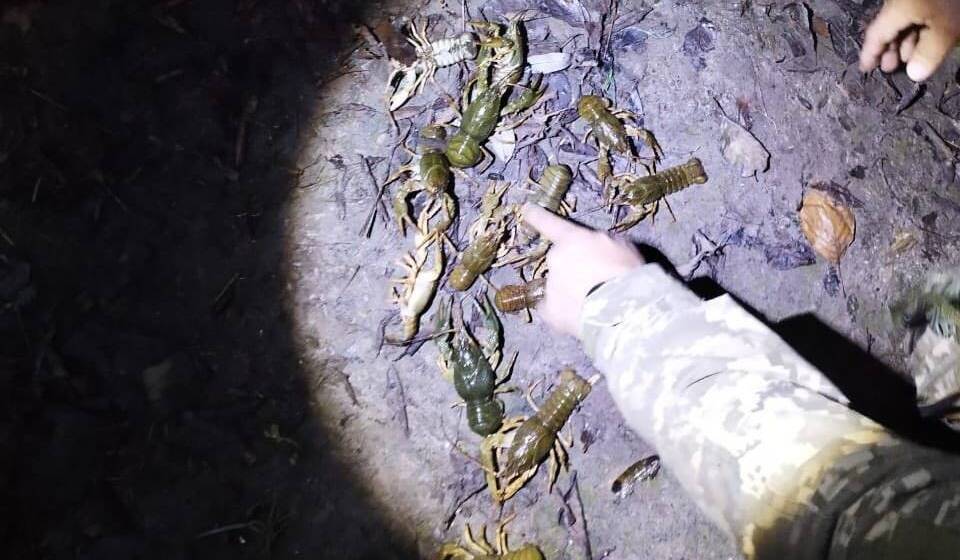 143af7068428ab2100bfbed034f512b8 На Вінниччині затримали браконьєра за незаконний вилов раків