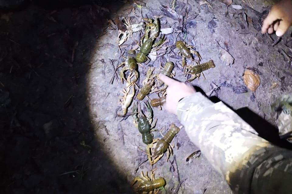 На Вінниччині затримали браконьєра за незаконний вилов раків