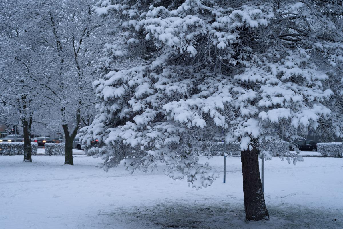 Синоптики попереджають про морози та складні погодні умови цього тижня