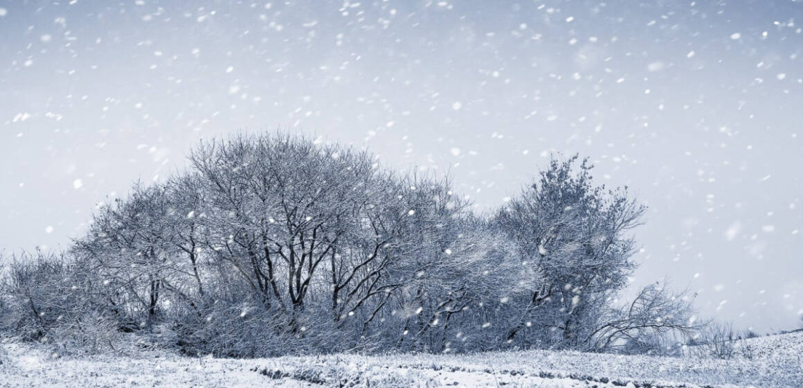 На Вінниччині 26 грудня прогнозують сніг і ожеледицю