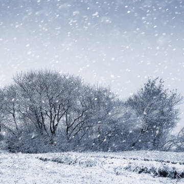 На Вінниччині 26 грудня прогнозують сніг і ожеледицю