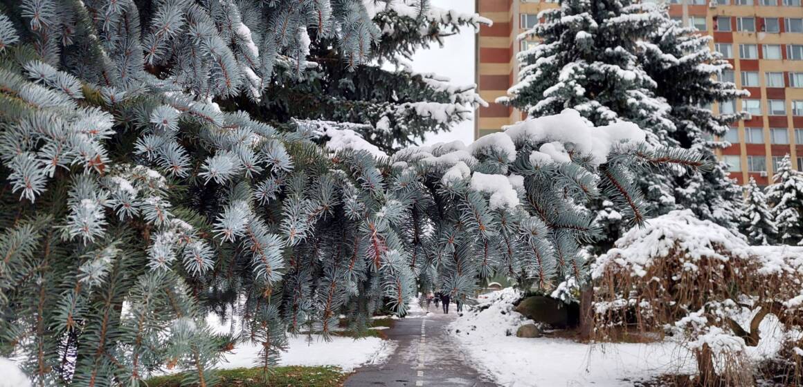 Ремонтні роботи: де у Вінниці 25 грудня тимчасово не буде води чи світла