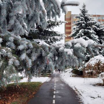 Ремонтні роботи: де у Вінниці 25 грудня тимчасово не буде води чи світла