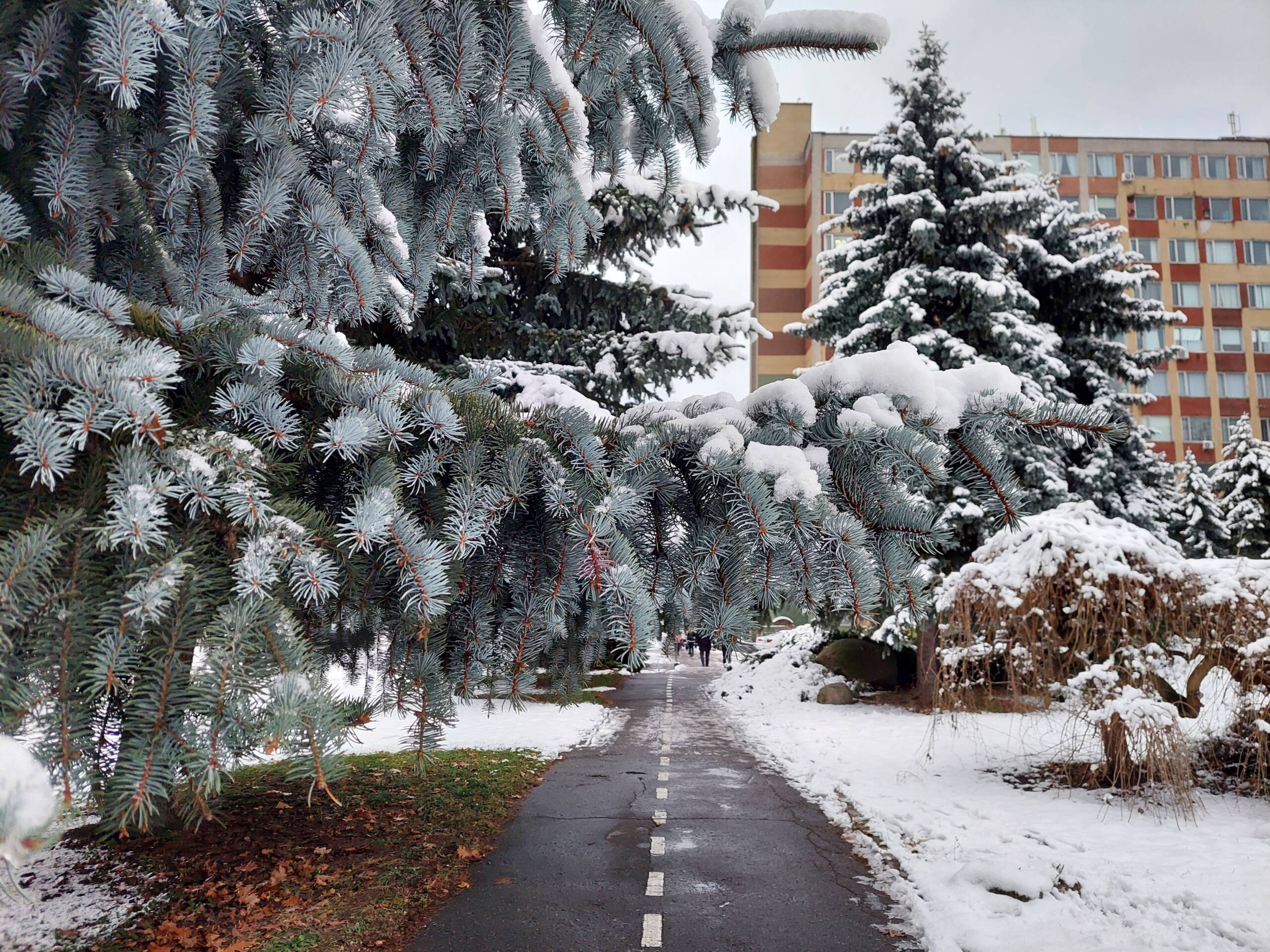 Ремонтні роботи: де у Вінниці 25 грудня тимчасово не буде води чи світла